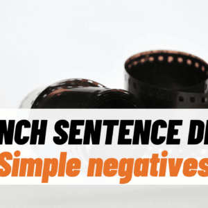 PDF of video "Sentence Drill - Simple Negative Sentences"
